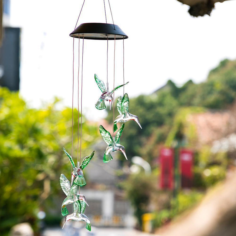 Lâmpada Decorativa De Beija-Flor - Lavvig 